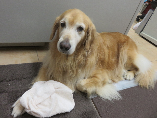 ファイル 4551-4.jpg