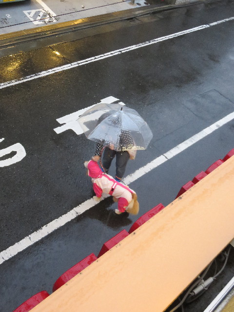 ファイル 4551-5.jpg