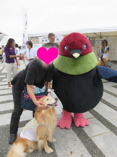 ファイル 4552-2.jpg