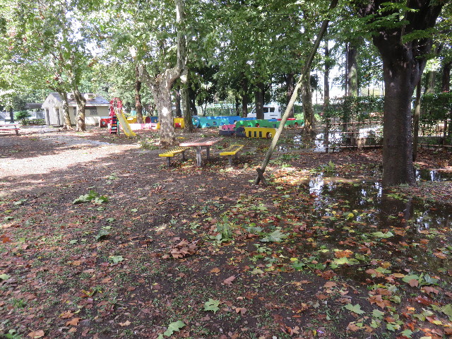 ファイル 4553-2.jpg