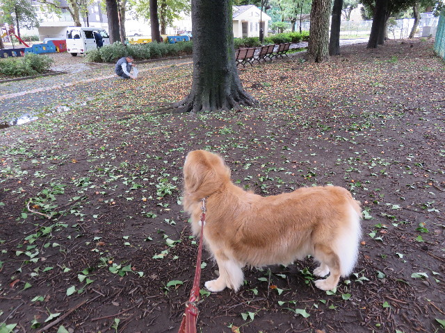 ファイル 4553-4.jpg