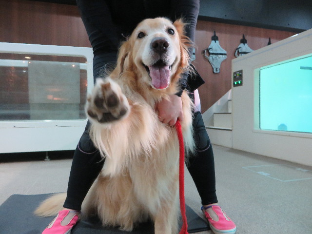 ファイル 4554-4.jpg