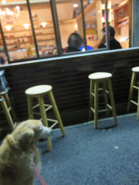 ファイル 4555-5.jpg