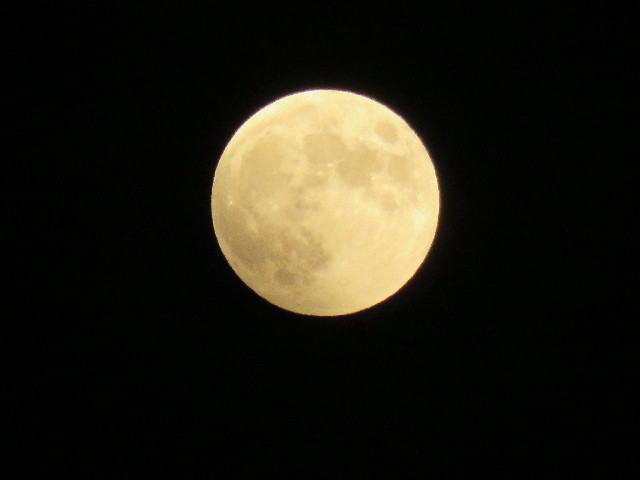 ファイル 4557-2.jpg