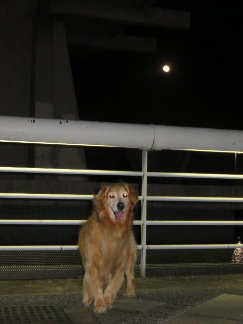 ファイル 4559-2.jpg