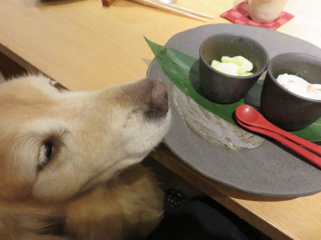 ファイル 4559-5.jpg