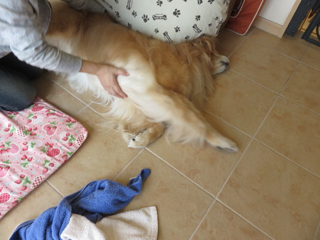 ファイル 4561-4.jpg