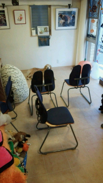 ファイル 4562-1.jpg