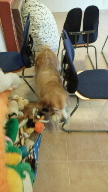 ファイル 4562-3.jpg