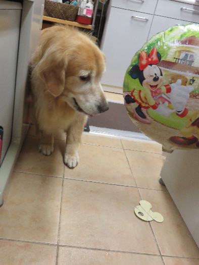 ファイル 4562-4.jpg