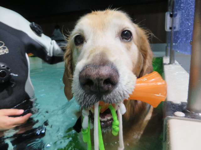 ファイル 4564-1.jpg