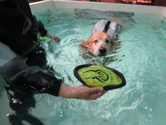 ファイル 4564-3.jpg