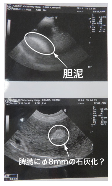 ファイル 4565-2.jpg