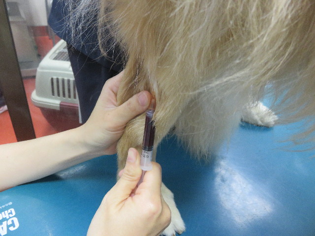 ファイル 4565-3.jpg