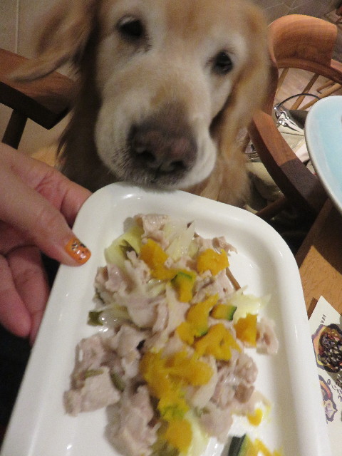 ファイル 4566-1.jpg