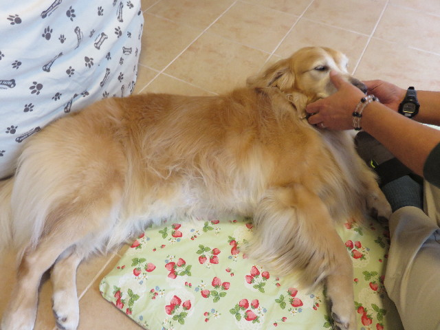 ファイル 4566-3.jpg