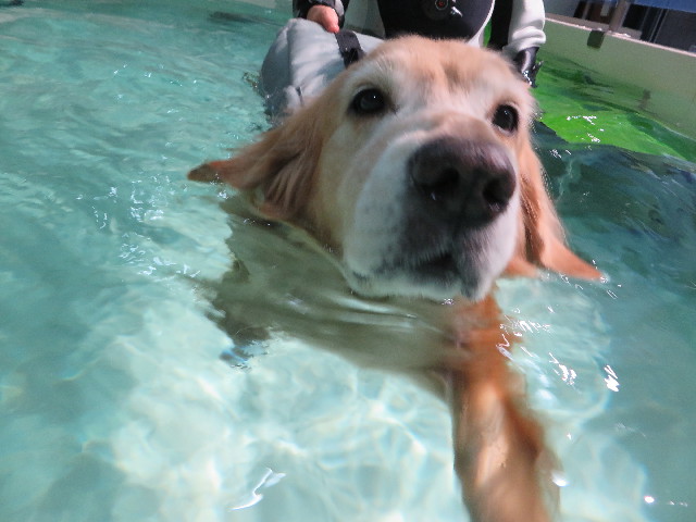 ファイル 4566-5.jpg