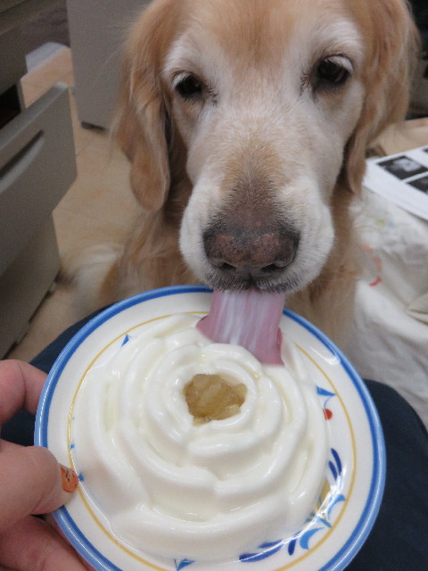 ファイル 4567-2.jpg