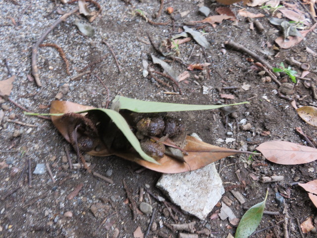 ファイル 4567-5.jpg