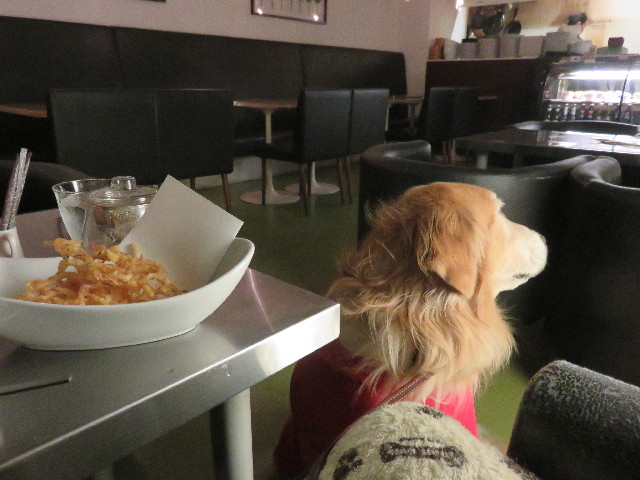 ファイル 4569-2.jpg