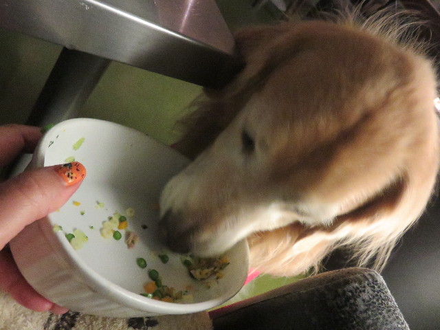 ファイル 4569-4.jpg