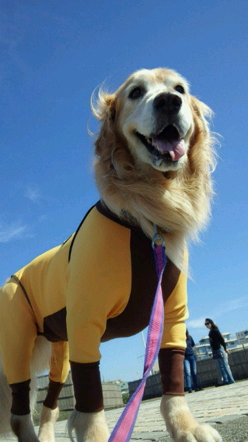 ファイル 4570-1.jpg