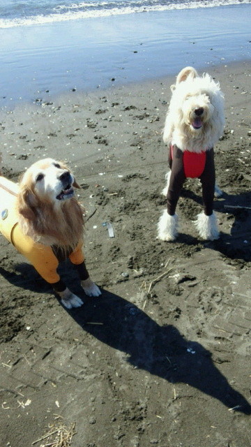 ファイル 4570-2.jpg