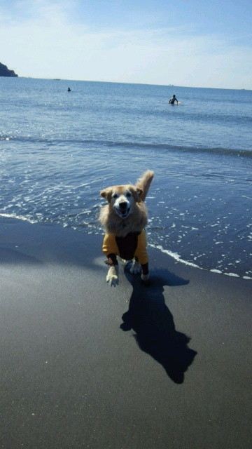 ファイル 4570-3.jpg