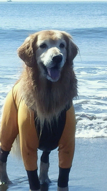 ファイル 4570-5.jpg