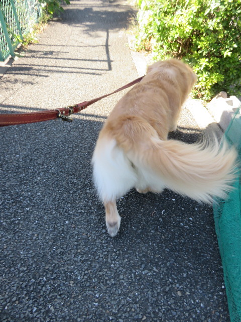 ファイル 4571-5.jpg