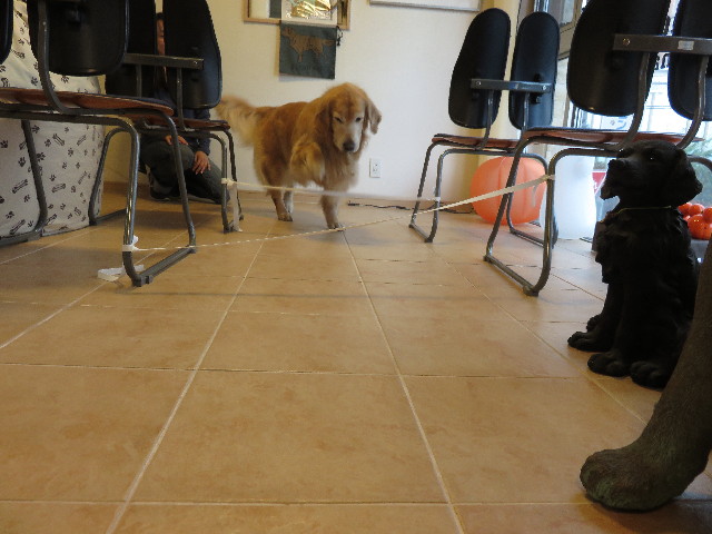 ファイル 4572-4.jpg