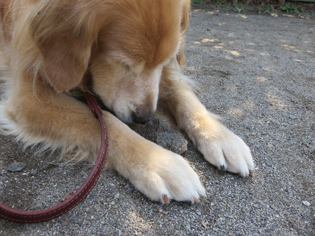 ファイル 4573-2.jpg