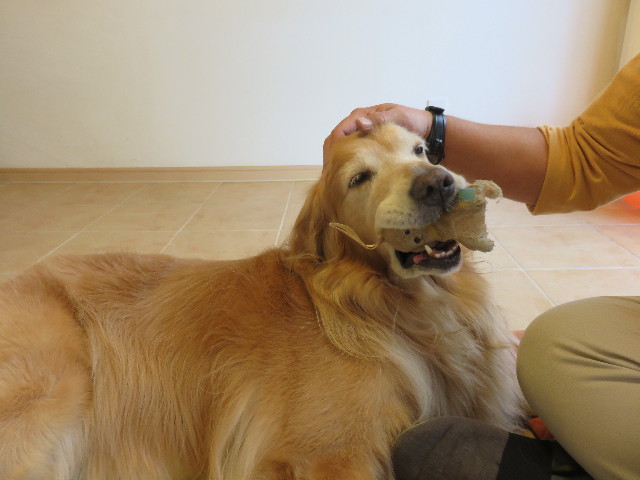 ファイル 4573-5.jpg