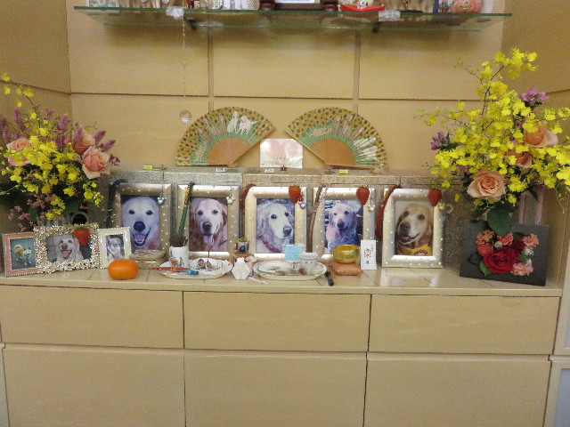 ファイル 4574-2.jpg