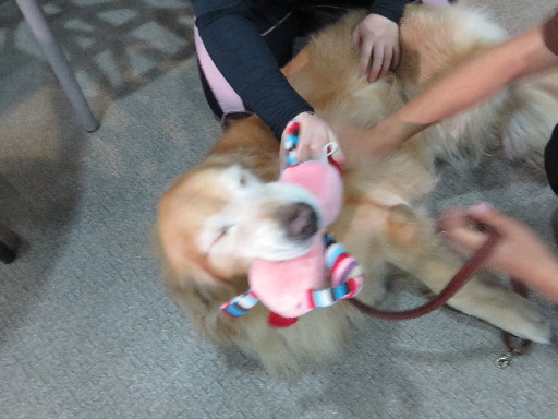 ファイル 4575-2.jpg