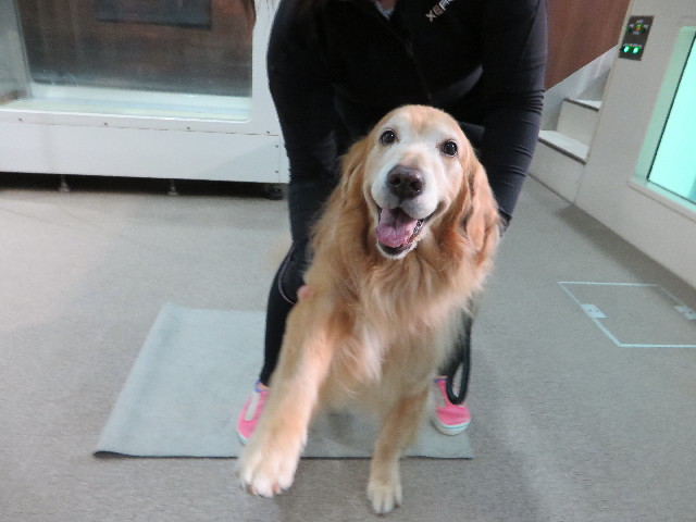 ファイル 4575-3.jpg