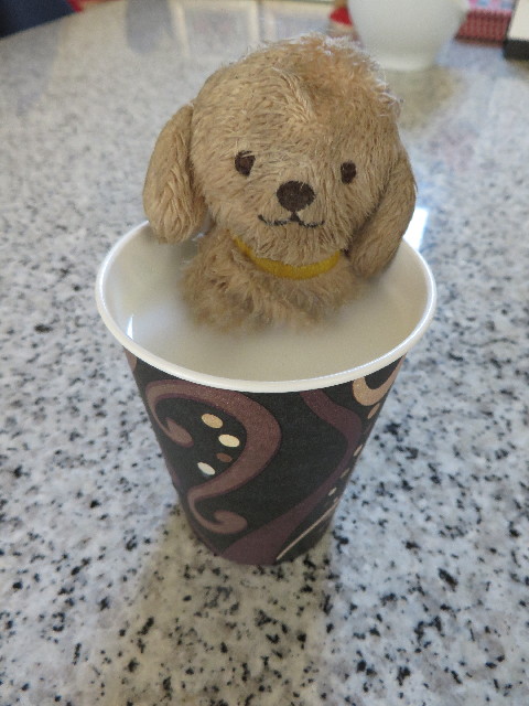 ファイル 4576-3.jpg