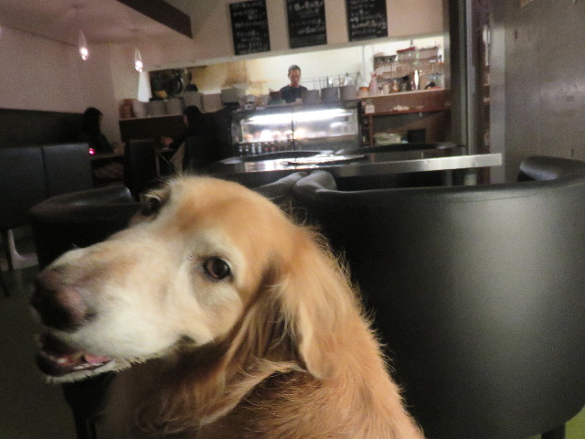 ファイル 4577-3.jpg