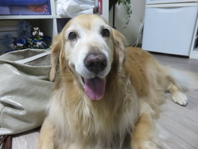 ファイル 4578-4.jpg