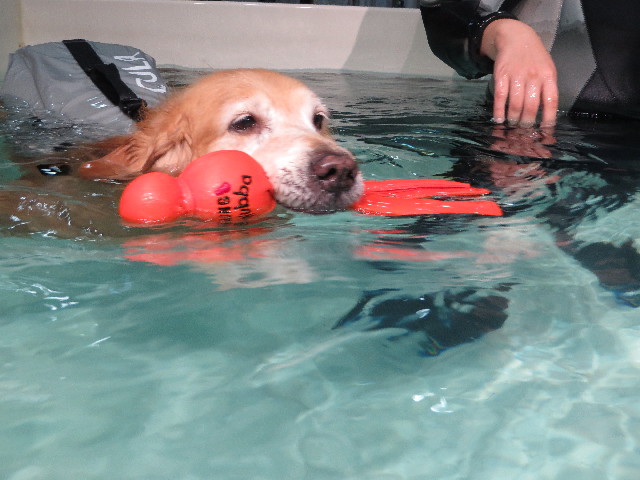 ファイル 4579-3.jpg