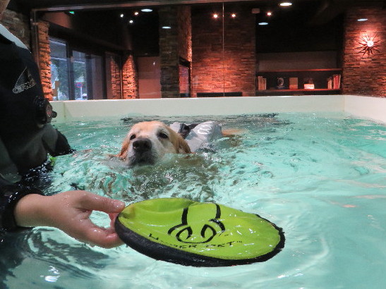 ファイル 4579-4.jpg