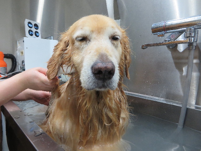 ファイル 4579-5.jpg