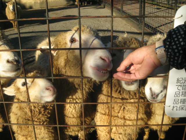 ファイル 458-2.jpg