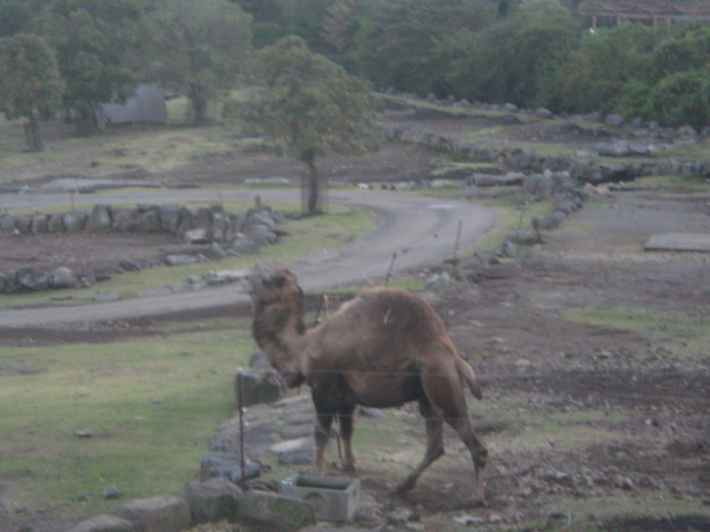 ファイル 458-5.jpg