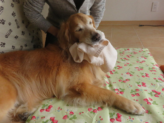 ファイル 4581-5.jpg