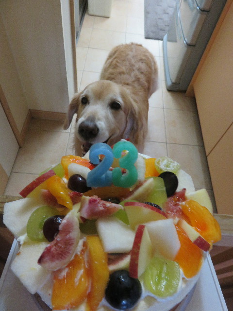 ファイル 4582-3.jpg