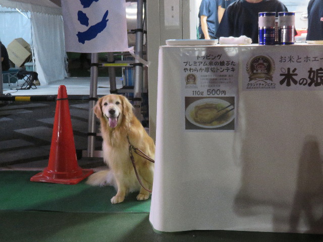 ファイル 4583-1.jpg