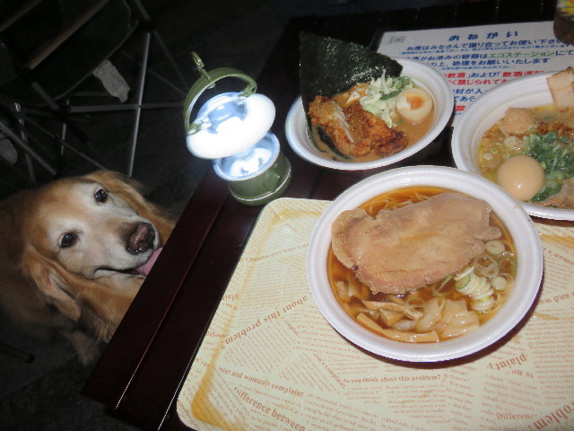 ファイル 4583-2.jpg