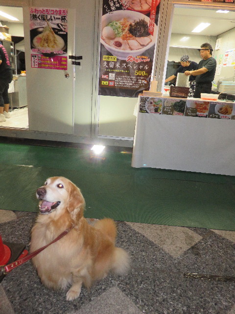 ファイル 4583-3.jpg