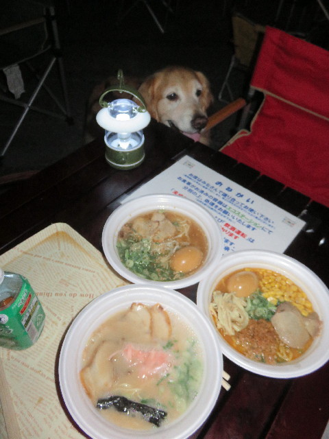 ファイル 4583-4.jpg